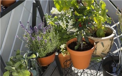 Микрокапкова напоителна система GARDENA
