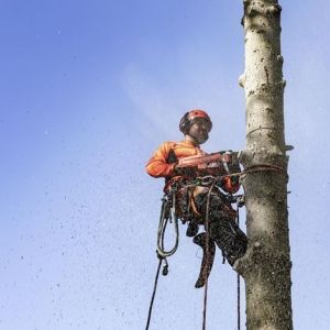 Husqvarna Менгеме за фиксиране