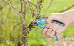 GARDENA Градинска ножици с наковалня 18 мм