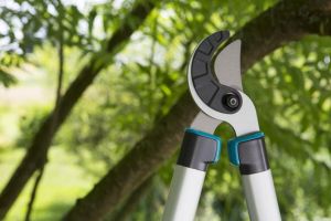 GARDENA Овощарска ножица EasyCut 680 A