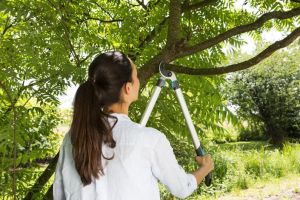 GARDENA Овощарска ножица EasyCut 680 A