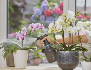 GARDENA Пулверизатор Premium 1 л