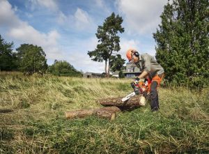 Моторен трион Husqvarna 440 ІІ