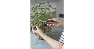 Ножици за прецизно рязане Gardena FreshCut